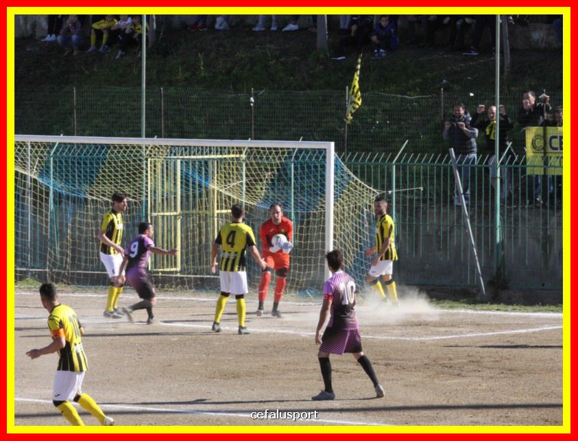 190310 Cephal_Torrenov 066_tn.jpg